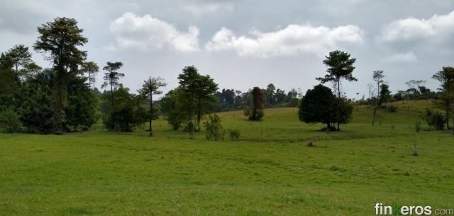 LA PRIMAVERA - Finca en Barrancabermeja, Santander